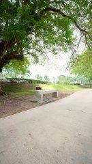 "A Broken Bench In The Park Follow For More Videos Have Trending reels"...!!