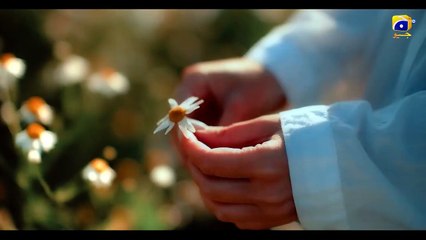 Coming Soon Mikhail zulfikar  momina Iqbal.