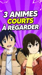 3 ANIMES COURTS à regarder !