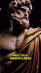 Daily Stoic Practices for Couples #stoic #stoicresilience #stoicism #greekphilosophy #stoicphilosophy #motivation #stoicismquote #stoicquotes #stoicmindset