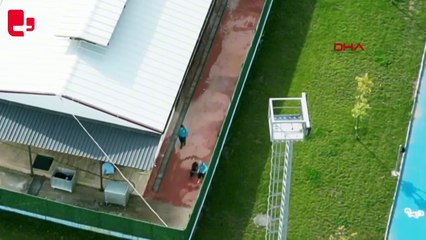 Untitled video - MadeGebze'de hayvan katliamı: Drone görüntüleri ortaya çıktı, iğne şişesi delil olarak alındı with Clipchamp