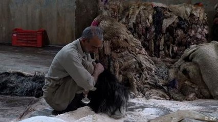 Why has Kashmir's leather industry lost its shine?