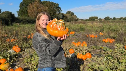 London’s best Halloween pumpkin patch