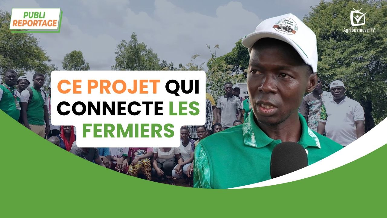 Burkina Faso : Ce projet qui connecte les fermiers