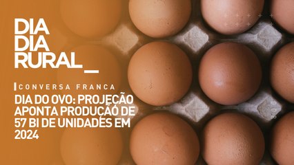 Dia do ovo: projeção aponta produção de 57 bi de unidades em 2024