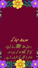 میں تمہیں اپنے پیچھے سے بھی دیکھتا رہتا ہوں