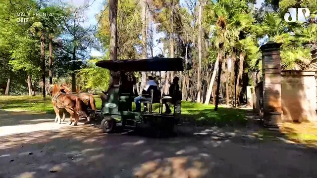 SEGREDOS POR TRÁS DA GASTRONOMIA DO CHILE: VINHOS E SABORES QUE ENCANTAM | MALA PRONTA - 12/10/2024