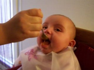 1° purée carotte Zoé