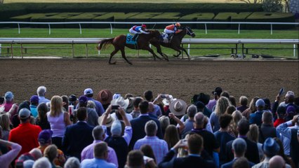 Insight on Keeneland Horse Races: Key Contenders & Odds