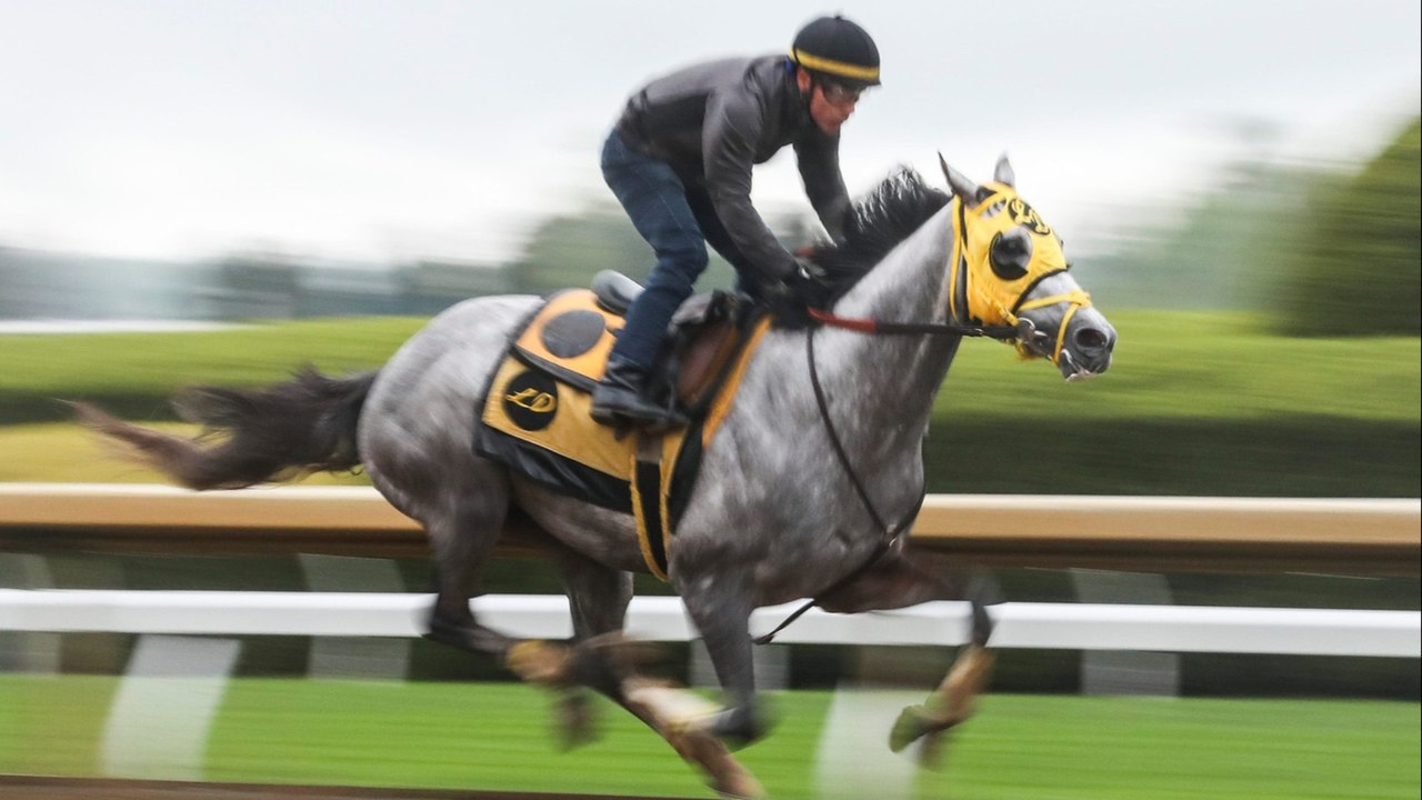 Exciting Race Insights: QE II Challenge Cup Preview