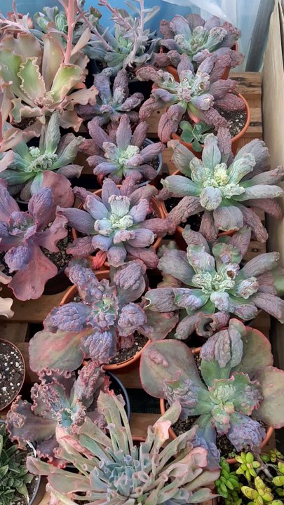 Voici ma nouvelle vidéo