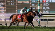 Final Week at Belmont: Breeders Cup Previews & Handicapping