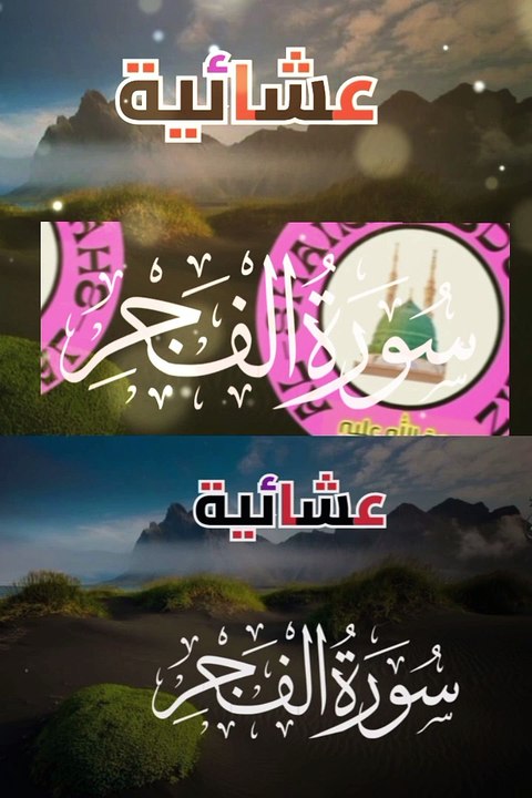 سورة الفجر -  ترتيل مميز #viral_video #tilawah #surat #alshaikhabdulaziz #tilawat #islamic_media#tranding  #islamic_video #foryoupage