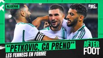 Mondial 2026 - Algérie : 