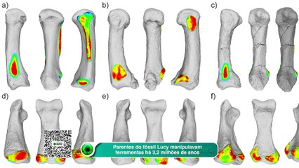 Parentes do fóssil Lucy manipulavam ferramentas há 3,2 milhões de anos