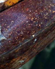 |HABIB ARIEL CORIAT HARRAR | COMPRESIÓN DE DATOS (PARTE 2) (@HABIBARIELC)