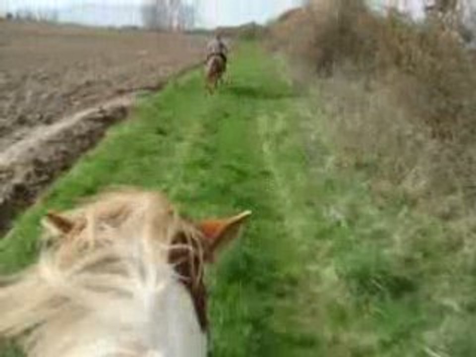 Grand galop ac opium et magnum sur le chemin du retour