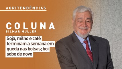 Soja, milho e café terminam a semana em queda nas bolsas; boi sobe de novo
