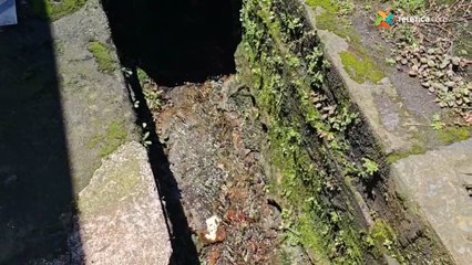 tn7-¿Naciente de agua en pleno centro de Curridabat--111024