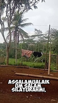 beautiful rural atmosphere