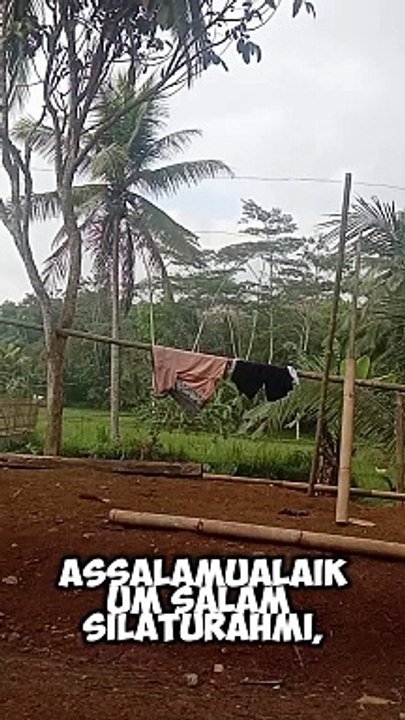 beautiful rural atmosphere