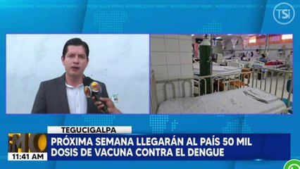 La Próxima semana llegarán al país 50 mil dosis de vacuna contra el dengue