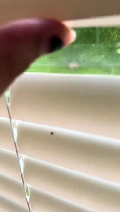 Frog said: "Yes, may I help you?" 