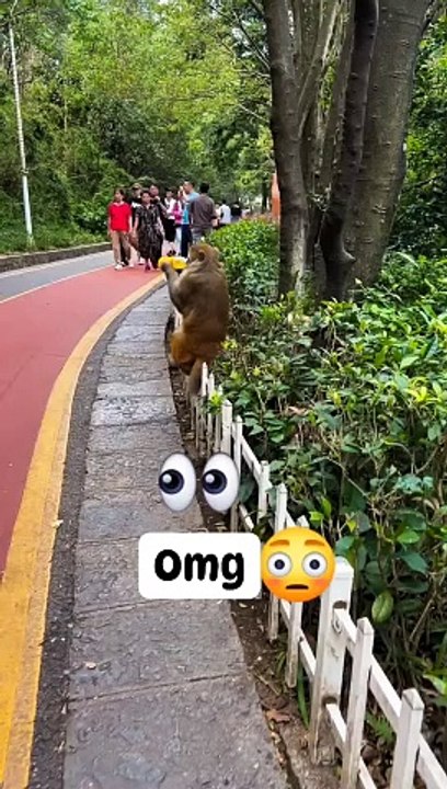 Man play with monkey,,,