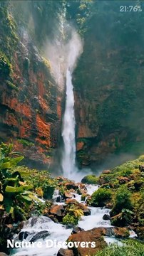 Water sounds with Birds Music♬|| Nature Discovers..........#shorts #naturesounds #natureshorts#Nature Discovery #Nature Videos #RelaxingNature #NatureShorts #WaterShorts #ShortsVideo #NatureRelaxation #CalmWaters #SoothingNature #PeacefulNature #Tranqu