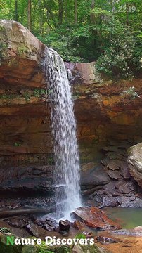 Water sounds with Birds Music♬|| Nature Discovers..........#shorts #naturesounds #natureshorts