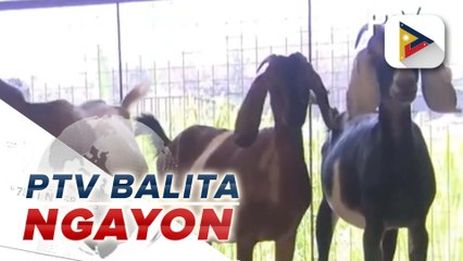 Singil sa Meralco sa kuryente, bababa sa buwan ng Oktubre