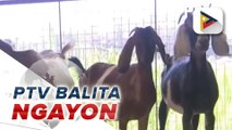 Singil sa Meralco sa kuryente, bababa sa buwan ng Oktubre