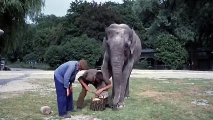 Hannibal Brooks Video Clips 2