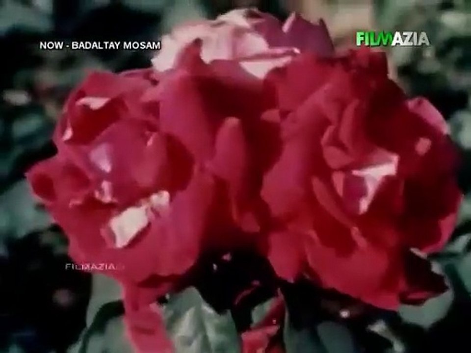 Tera Mera Mera Tera Sath Rahay - Shabnam & Nadeem - Pakistani Film Badaltay Mosam (1980) Mehnaz & Ghulam Abbas