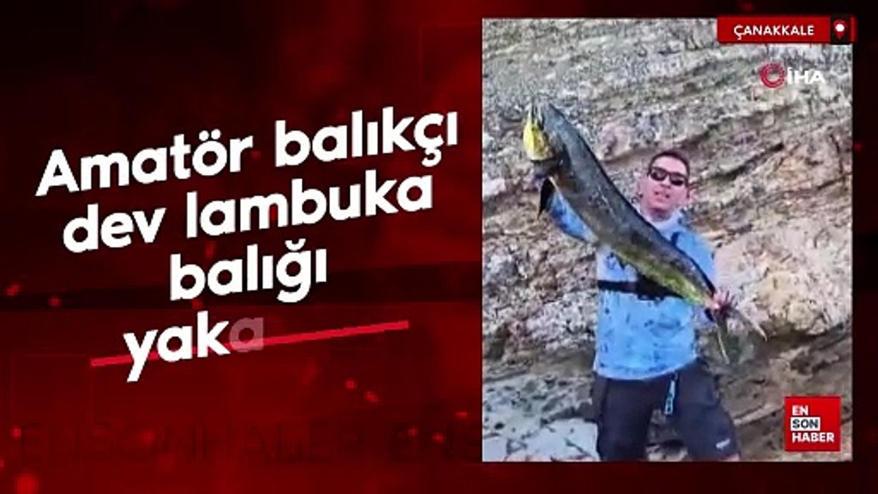 Çanakkale'de amatör balıkçı dev lambuka balığı yakaladı