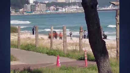 파도에 휩쓸린 러시아인 부자...아버지 사망·아들 탈진 / YTN