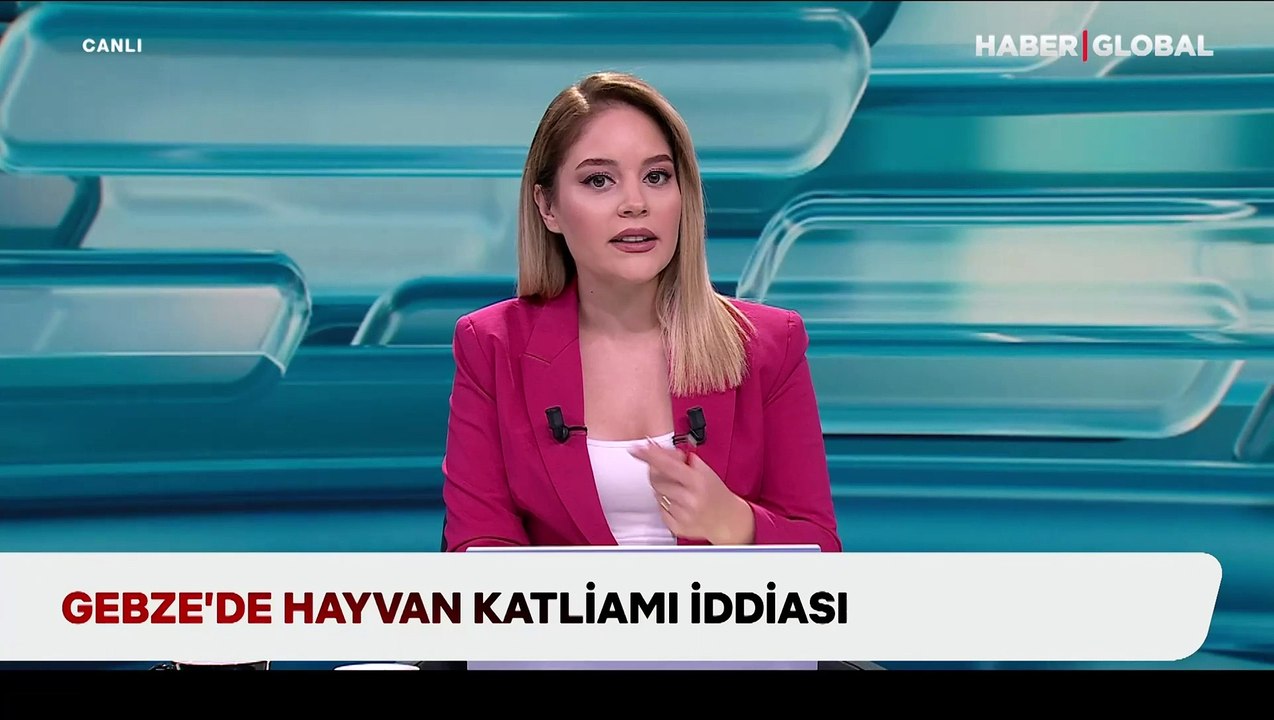 Gebze'de hayvan katliamı: Belediyeye ait rehabilitasyon merkezinde çöp torbaları içinde 30 köpek, 14 kedi ve 1 karga ölü olarak bulundu