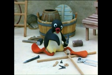 Pingu surfing the ice