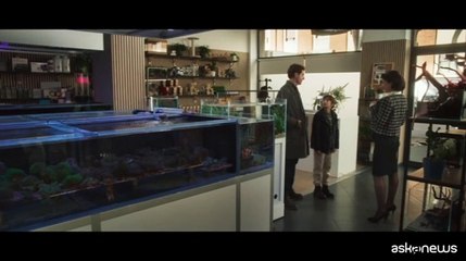 Morelli e Giannetta, una coppia oltre la realt? virtuale