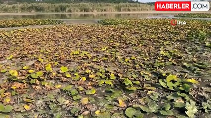 Süleymanlı Yayla Gölü'nde Su Seviyesi Alarm Veriyor