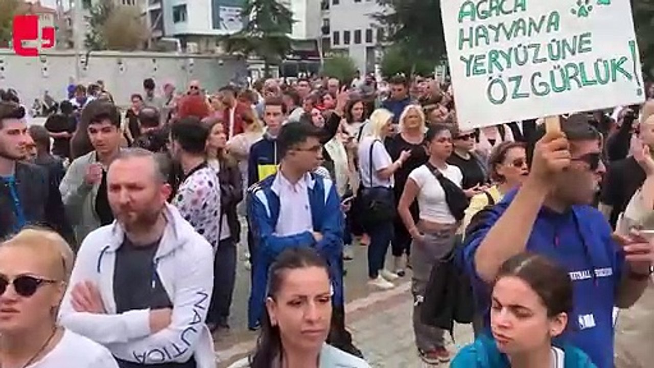 Gebze Belediyesi önünde hayvan katliamı protestosu: Belediye Başkanı'na 'istifa et' çağrısı