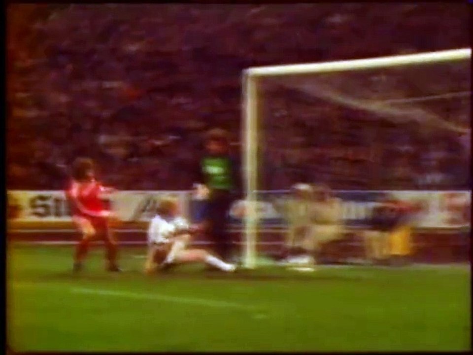 CHAMPIONNAT  D' ALLEMAGNE - 1981 - SAISON  1980...