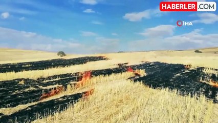 Malatya'da 2 bin 500 dekar alanda anız yangını söndürüldü