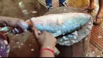 Ilish Egg Collection _ Delicious World Famous Hilsa Fish Cutting And Cleaning Skills