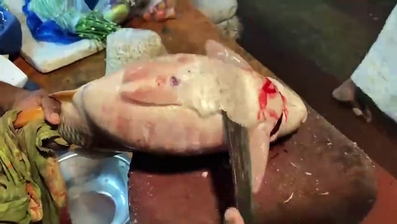 Amazing Cutting Skills __ Big Carp Fish Cleaning & Cutting By Expert Fish Cutter