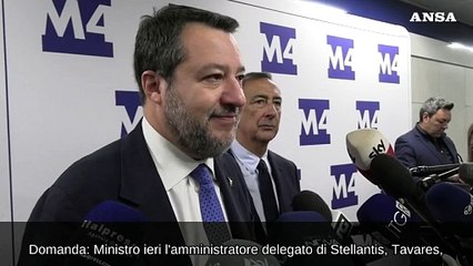 Salvini, "Tavares dovrebbe vergognarsi e chiedere scusa"