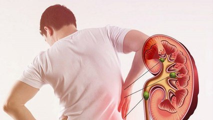 Roj Makhana Khane Se Kya Hota Hai, Diabetes Control To Joint Pain Relief, Benefits In Hindi