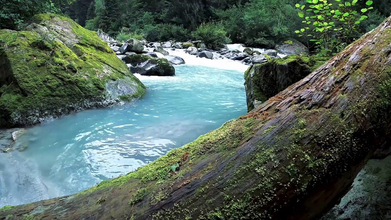 Reasons Silence is More Powerful Than Words video Dailymotion