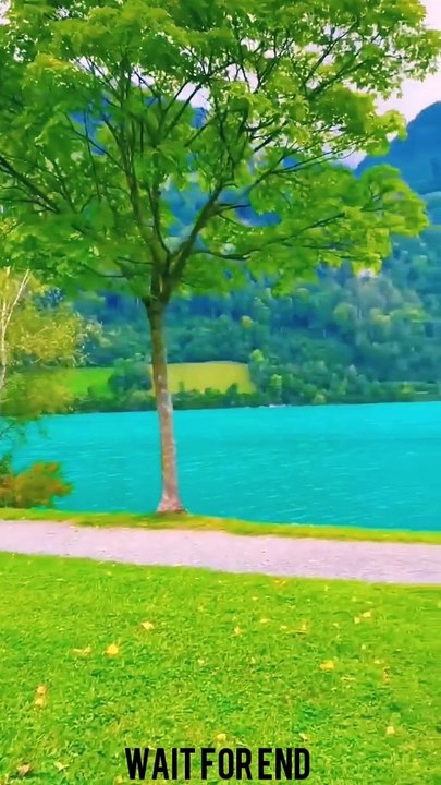 Islamic best shorts videos, Islamic viral videos, viral shorts