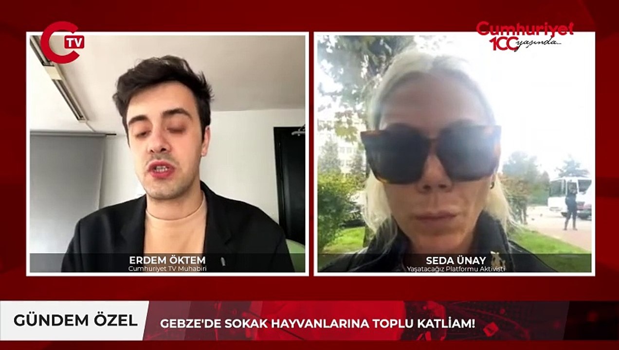 Gebze'de toplu hayvan katliamı! 50'ye yakın hayvan vahşice katledildi: 'Her şey meclisteki yasa ile başladı!'